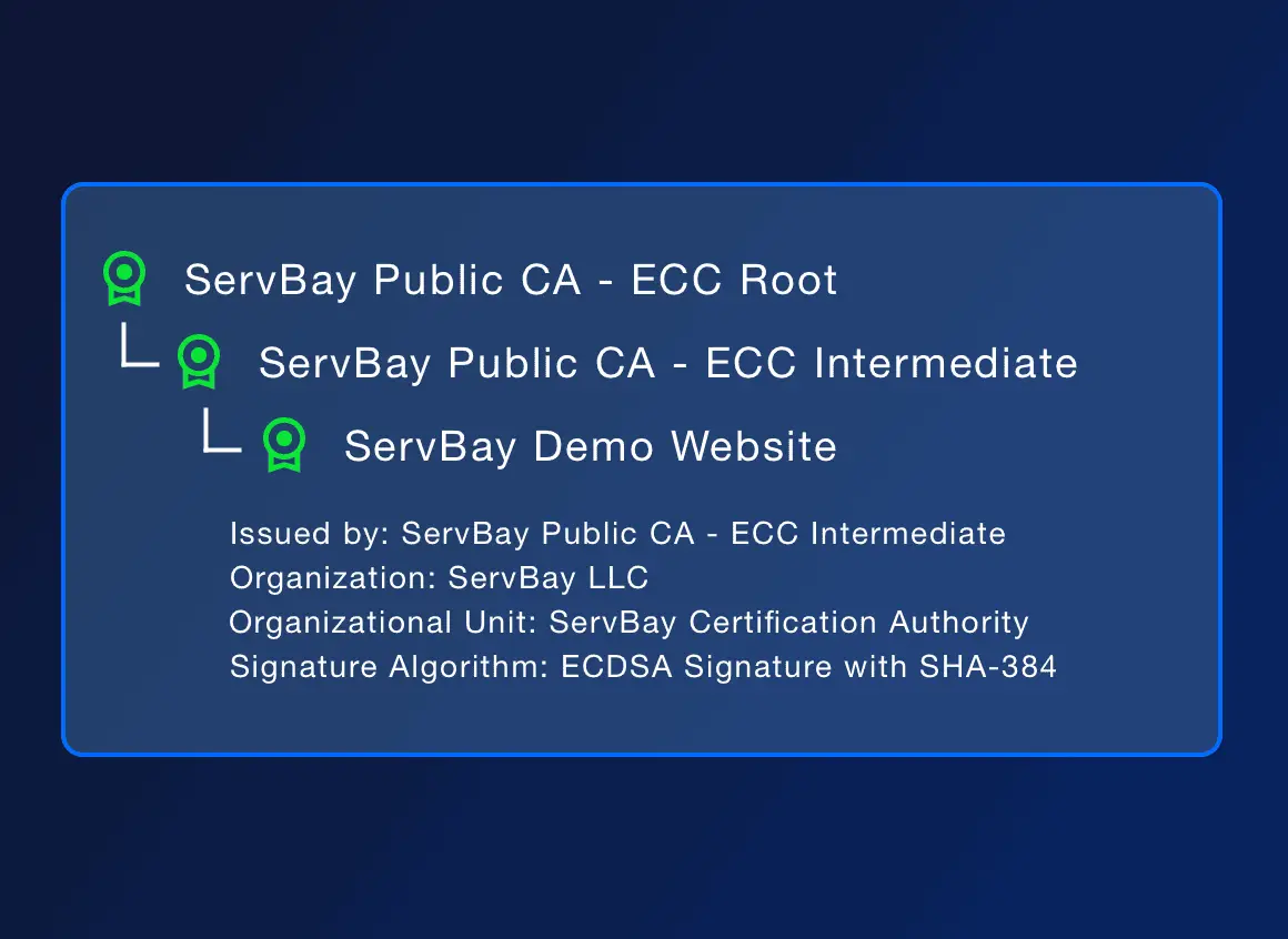 SSL Certificates