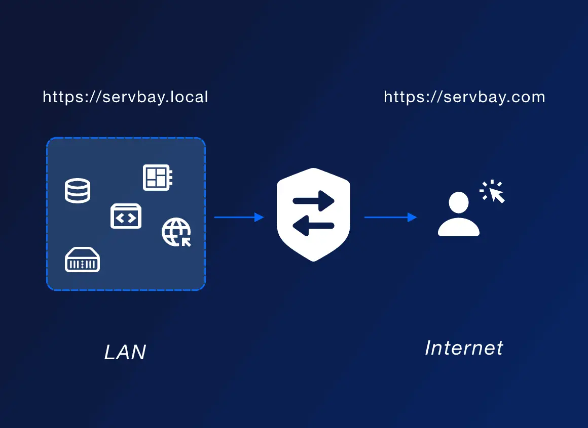 Reverse Proxy (Tunneling)