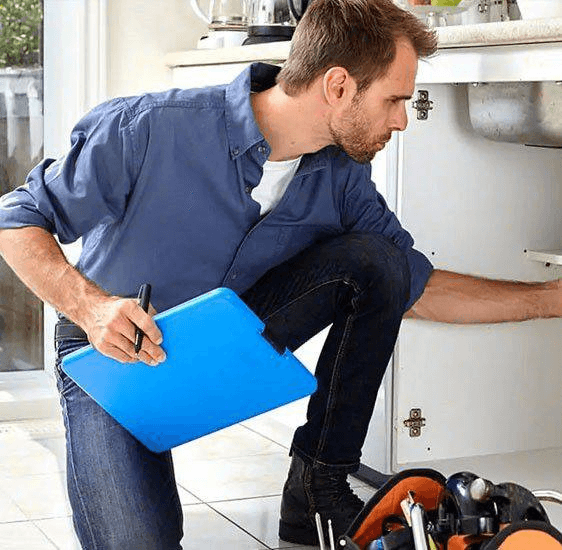 ServBay User: Peter Davey, Quản lý dự án IT